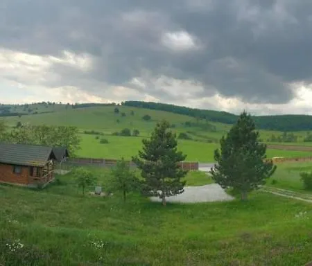 Lucky Roenk Vendeghaz Guest house Vilcele (Covasna)
