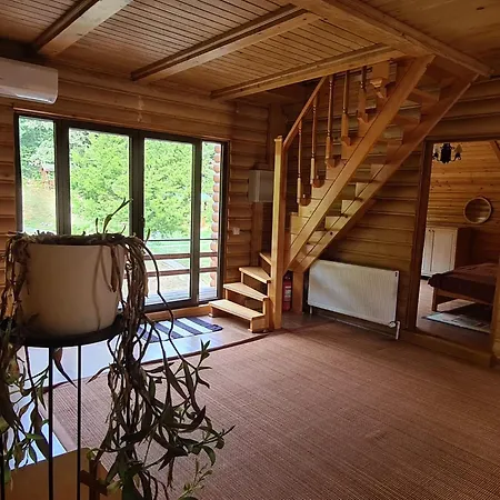 Guest house Lucky Roenk Vendeghaz Vilcele (Covasna)